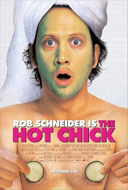 The Hot Chick film posteri